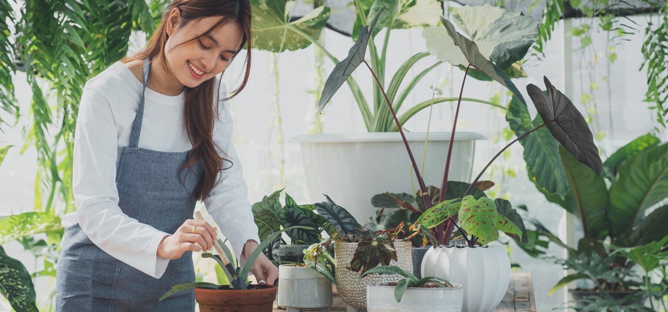 Seguro de Vida Seguro de Vida