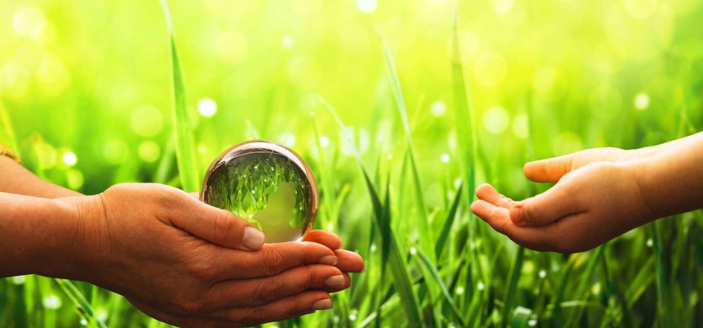 Sustentabilidade Sustentabilidade