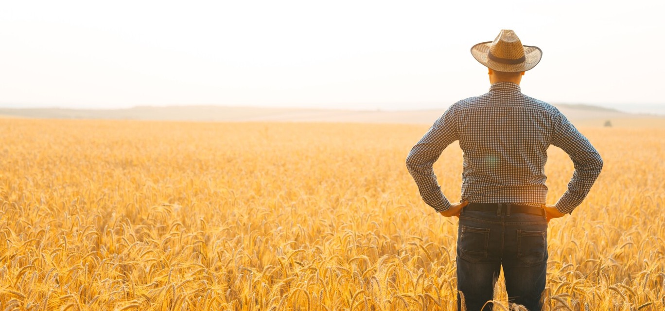 O seguro rural é uma das preocupações do setor e que impacta na redução das projeções. O seguro rural é uma das preocupações do setor e que impacta na redução das projeções.