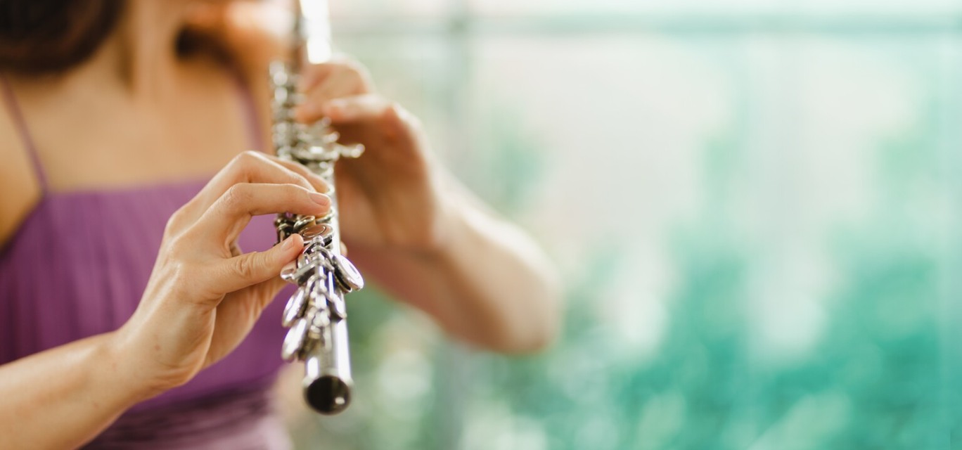 instrumentos musicais instrumentos musicais