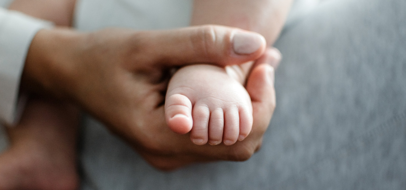 seguro de vida seguro de vida