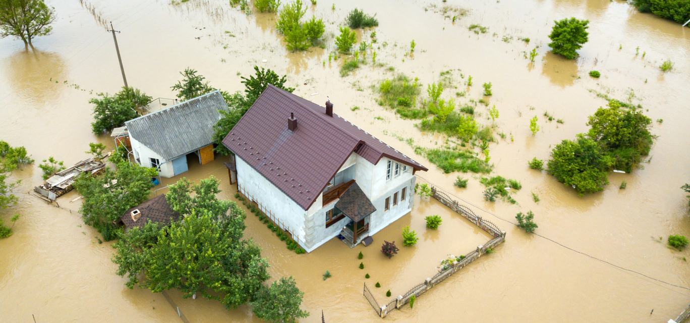 Imagem: Envato Elements Imagem: Envato Elements