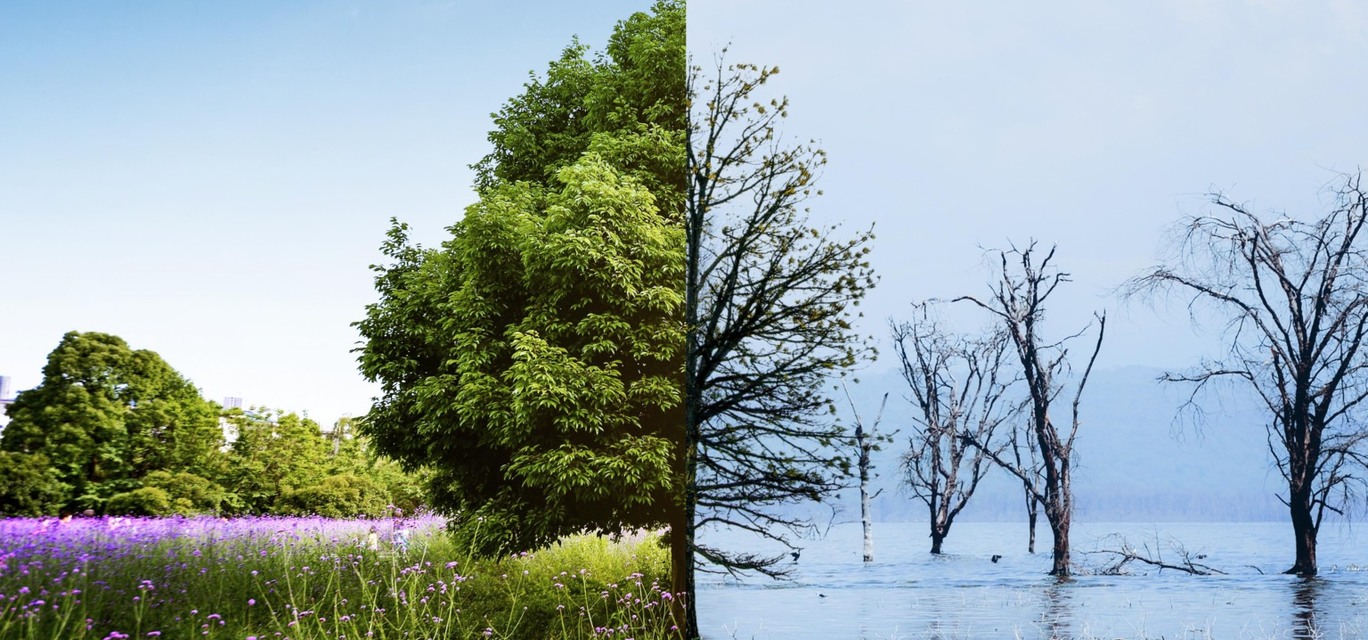 Imagem: Freepik Imagem: Freepik